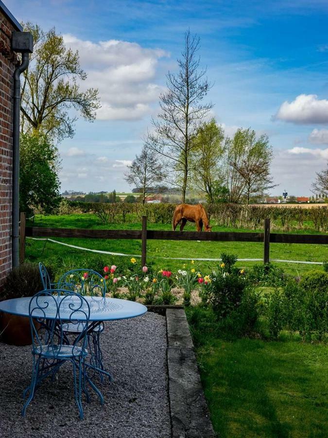 Manoir Du Kasteelveld Hotell Cassel Exteriör bild